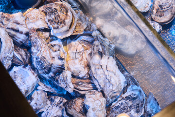 Premium seafood arrangement with reflective urban evening illumination