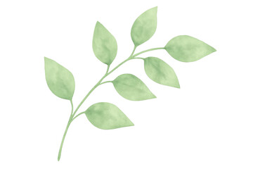 Obraz premium Watercolor sprig with green leaves illustrating nature, ecology, and floral design element, transparent background