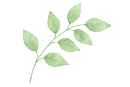 Watercolor sprig with green leaves illustrating nature, ecology, and floral design element, transparent background