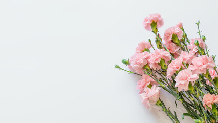 Soft Pink Carnations With Green Stems On Tender Blue Background. Ideal For Mother’s Day Designs, Spring Floral Templates, Elegant Greeting Cards, Beauty Campaigns And Romantic Seasonal Visual Branding