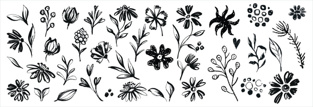 Hand drawn abstract floral doodles vector set. Vector simple flower, leaf ink stroke. Vector illustration
