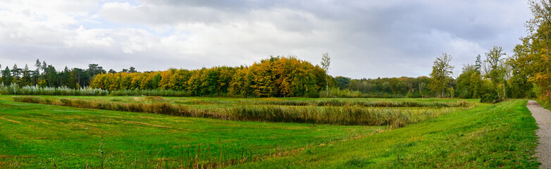 Serene landscape with lush green fields and colorful autumn trees under cloudy sky in a peaceful setting