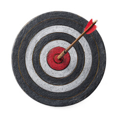 Plakat Archery target with arrow striking the center in practice session
