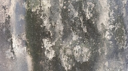 Weathered wall texture with mold and moisture stains, featuring natural grunge patterns and aged concrete surface ideal for backgrounds and design elements.
