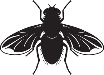 Detailed black and white illustration of a common housefly insect with intricate wings and legs on a white background