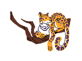Jaguar is lying on branch in jungle. Spotted panther relaxes on tree. Leopard has a rest in forest. Exotic animal on rainforest. Flat hand drawn isolated vector illustration on white background.