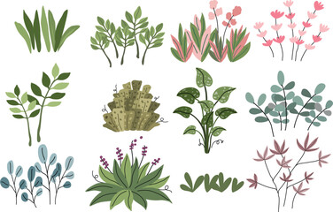 plant and leaf set vector illustration