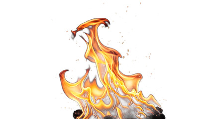 A vibrant depiction of flames rising against a stark black backdrop with floating embers visible