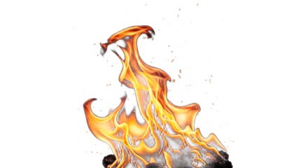 A vibrant depiction of flames rising against a stark black backdrop with floating embers visible