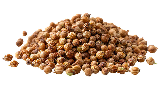 Pile of coriander seeds isolated on transparent background, ready for cooking