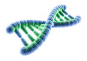 Double helix dna molecule, a fundamental element of life and heredity