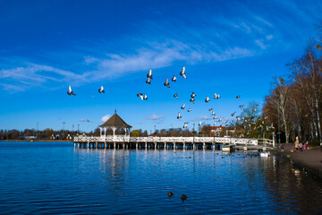 Jesienne molo w Ostródzie 2025 © Krzysiek Cegiełka