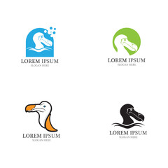 dodo bird logo and symbol vector © Roli