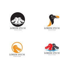 dodo bird logo and symbol vector © Roli