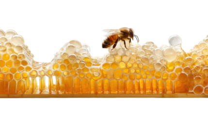 Honeycomb with Bee on Transparent Background