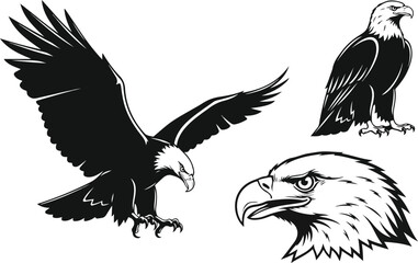Collection of Majestic Bald Eagle Illustrations in Dynamic Poses.