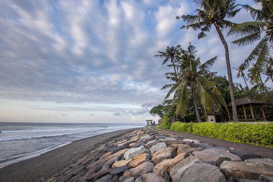 Beach with palm trees and a rocky shoreline