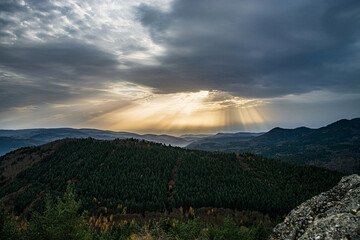 Autumn forest colorful view