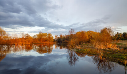 Calm lake with trees in the background