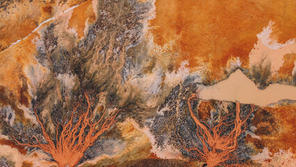 Aerial View of a Vein-like Red River Delta Landscape