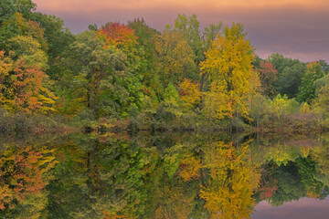 Autumn landscape at dawn of the shoreline of Gun Lake with mirrored reflections in calm water, Yankee Springs State Park, Michigan, USA