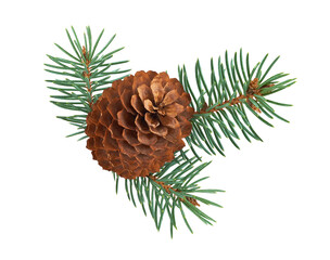 Fototapeta premium Brown pine cone with green fir branches isolated on transparent background. Natural Christmas decoration element for winter holiday design and festive compositions. PNG file