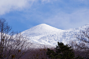 日本、青森県、冬の八甲田連峰