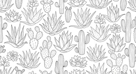 Seamless pattern of cactus and succulent plants vector illustration outline drawing for design art