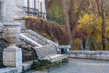 A wooden bench stands in a quiet park, surrounded by plants, trees, and fallen leaves, perfect for enjoying the fresh air and relaxing. Autumn.