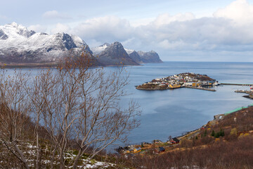 Fototapete bei efototapeten.de bestellen   