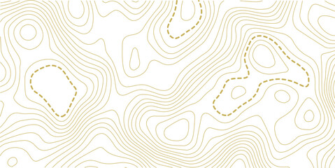 Topographic map background. Geographic line map with elevation assignments. Contour background geographic grid. Vector illustration.
