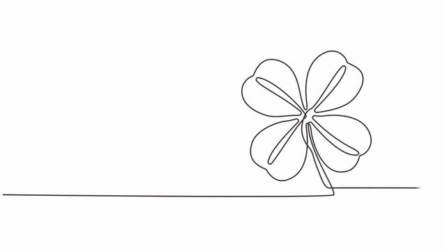 Three leaves clover continuous line drawing animated video. Saint Patrick's Day symbol animation. Four-leaf clover, one line drawing animation. Video clip with alpha channel.