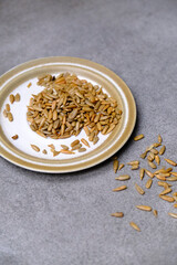 Roasted sunflower seeds on a plate