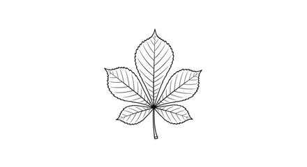 Fototapeta premium Poplar Leaf Minimal Nature Line Art vector illusration