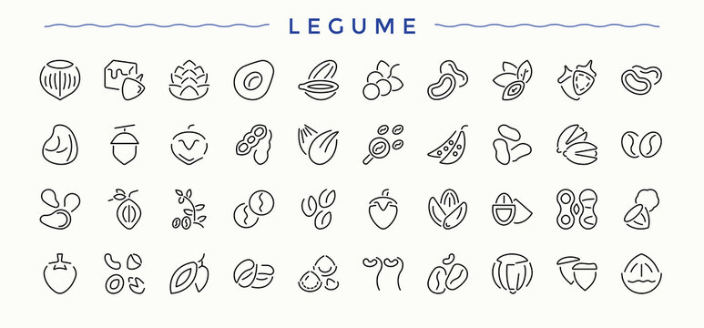 Legume icon. Thin line icons set. Pack of peanut, walnut, food, nut, nuts. Art and illustration. Nuts icon collection.