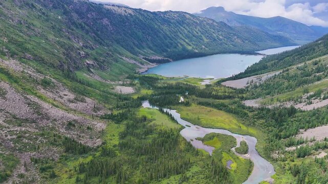 a drone flies over the mountainous, winding Multa River in the forest of Altai