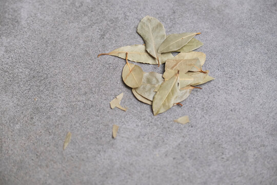 Bay leaves on a gray background. Kitchen, spices, cooking