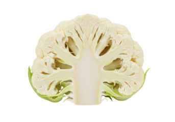 Isolated Cauliflower cross-section, a popular and healthy vegetable eaten raw or cooked in dishes