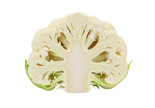 Isolated Cauliflower cross-section, a popular and healthy vegetable eaten raw or cooked in dishes