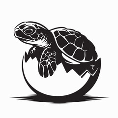 Cute Turtle Hatchling Emerging from Egg Illustration on white background