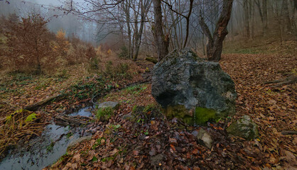 Small forest spring flowing from a moss-covered rock in a quiet autumn woodland. Wet leaves, soft fog, and natural textures create an atmospheric forest scene.