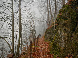 A hiker walks along a narrow cliffside trail above Hámori Lake on a foggy autumn day in the Bükk...