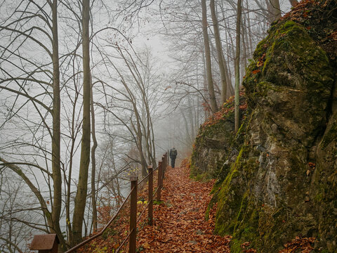 A hiker walks along a narrow cliffside trail above Hámori Lake on a foggy autumn day in the Bükk Mountains. The misty forest and rocky wall create a moody, atmospheric scene. - Powered by Adobe