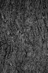 Graphic for design. wood texture, dark wooden abstract background