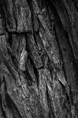 Graphic for design. wood texture, dark wooden abstract background