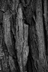 Graphic for design. wood texture, dark wooden abstract background