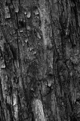 Graphic for design. wood texture, dark wooden abstract background