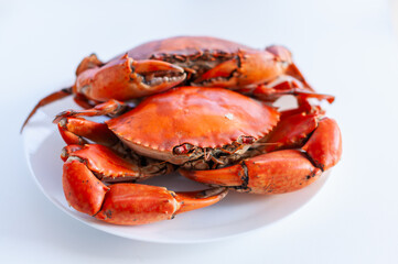 Crabs harvesting process coastal region food natural setting close-up view culinary delight