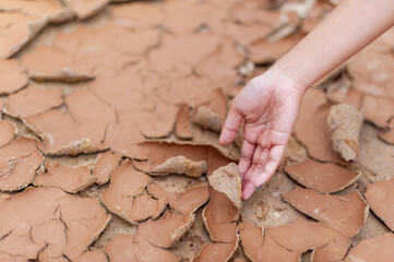 Drought impact soil quality rural area nature dry environment close-up view environmental awareness