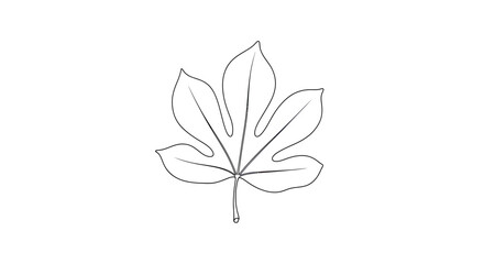 Poplar Leaf Graceful Botanical Illustration vector illusration
